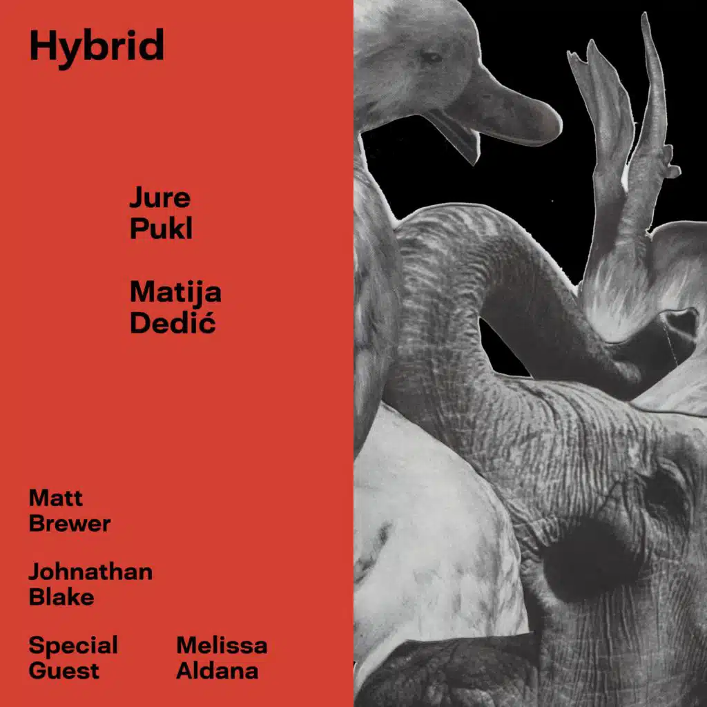 Hybrid (feat. Matt Brewer, Johnathan Blake & Melissa Aldana)