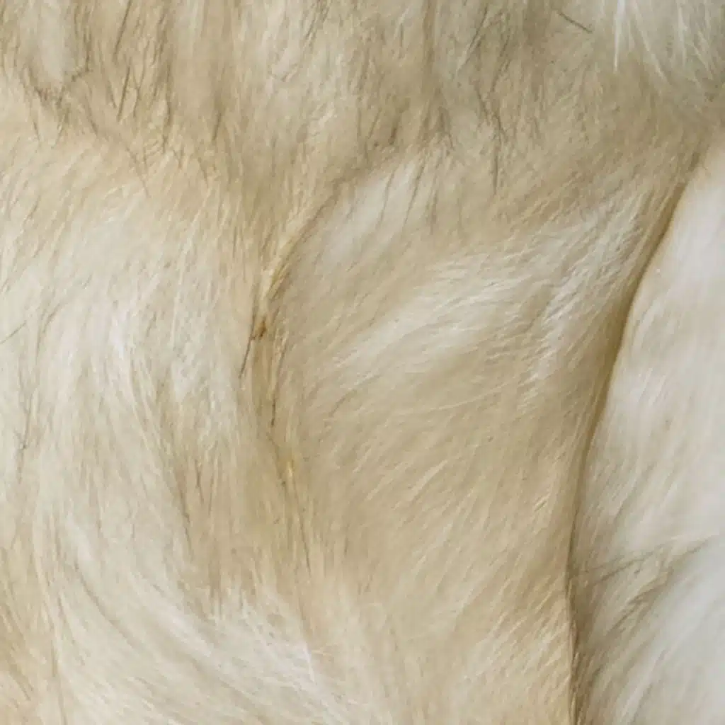 365 Complete Works 27