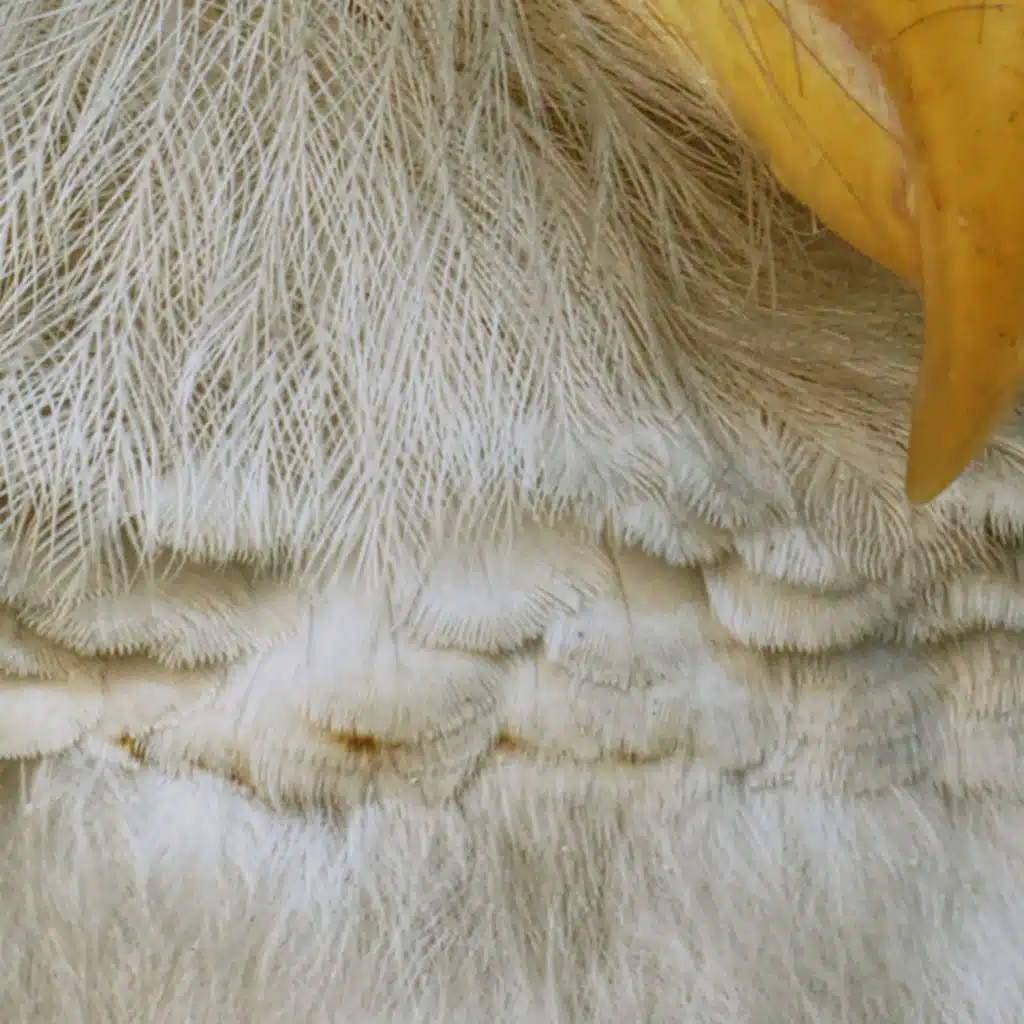 365 Complete Works 23