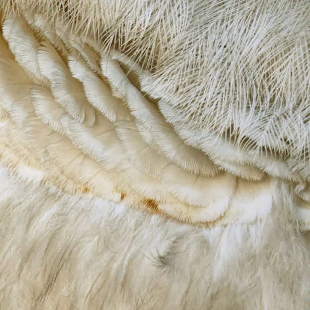 365 Complete Works 22