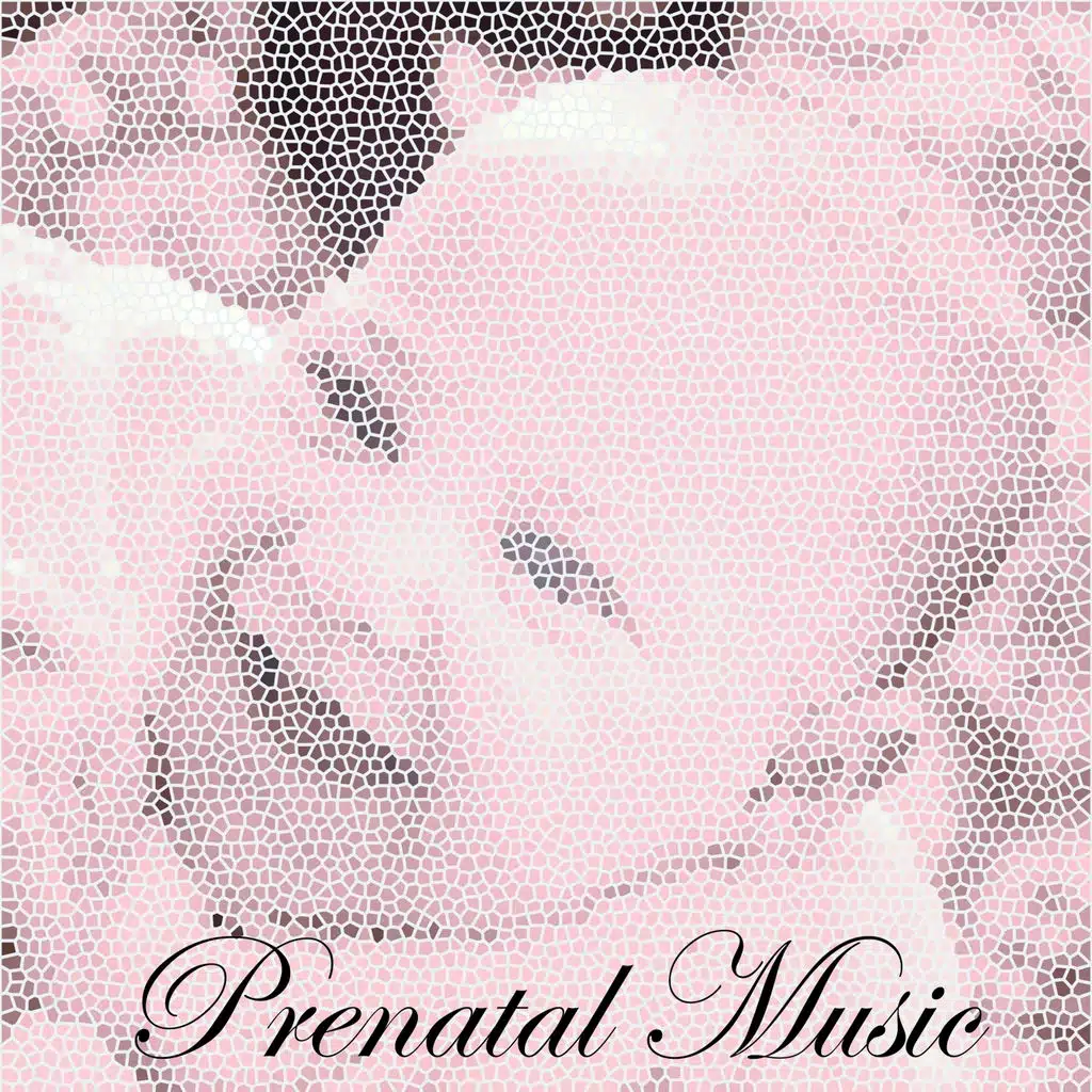 Prenatal music