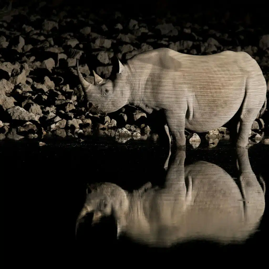 An Unblinking History of the Conservation Movement