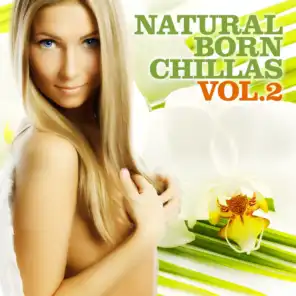 Natural Born Chillas, Vol. 2 (The Ultimate Lounge & Chill Out Experience)