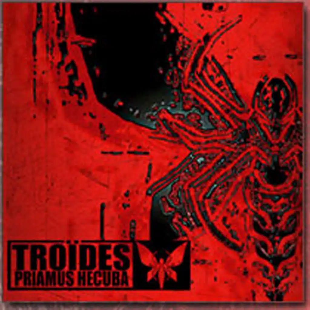 La tête dans le sable