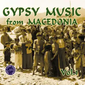 Gypsy Music from Macedonia, Vol. 1