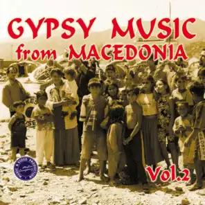 Gypsy Music from Macedonia, Vol. 2