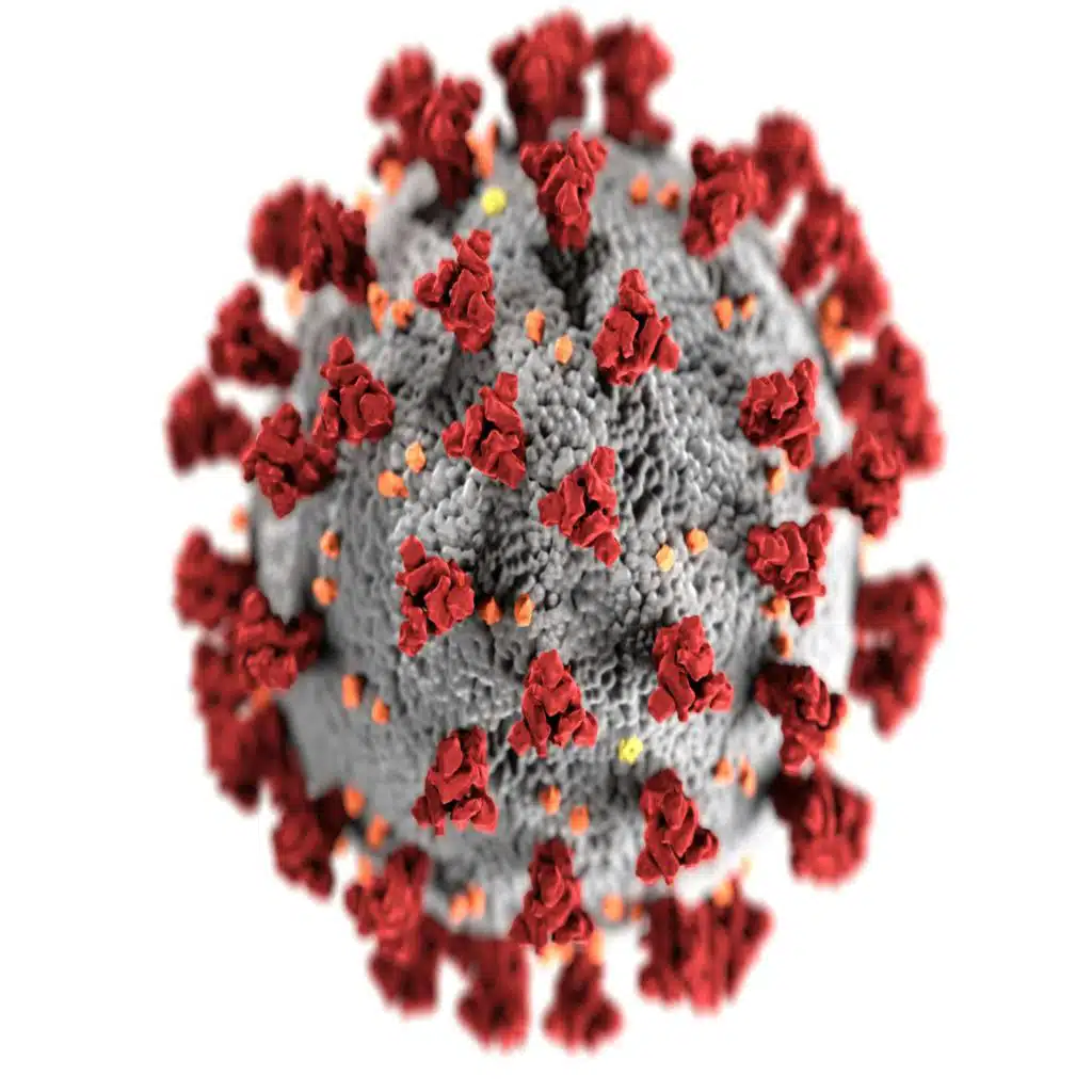 What Science Has Learned about the Coronavirus One Year On