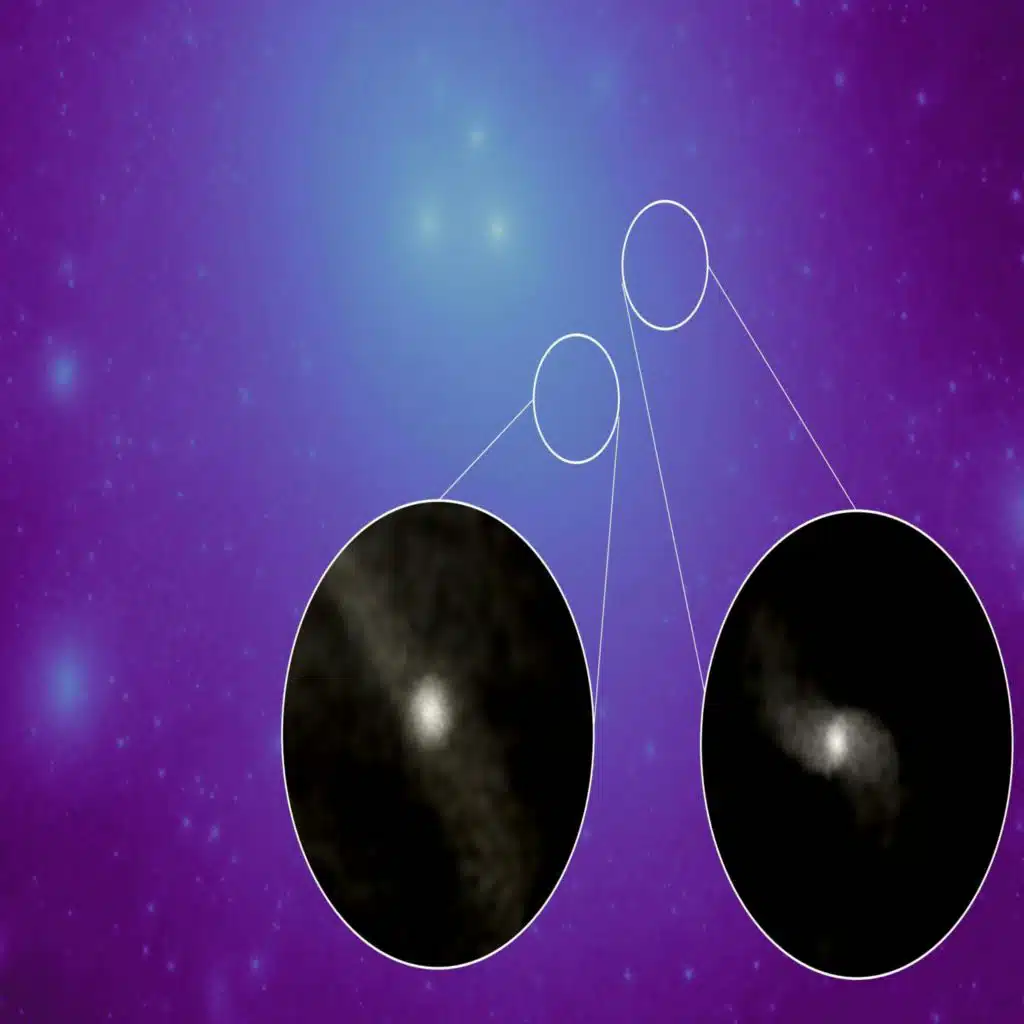 Cosmic Simulation Shows How Dark-Matter-Deficient Galaxies Confront Goliath and Survive