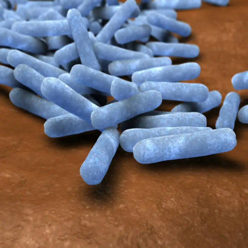 When We Fly to Mars, Microbes Will, Too