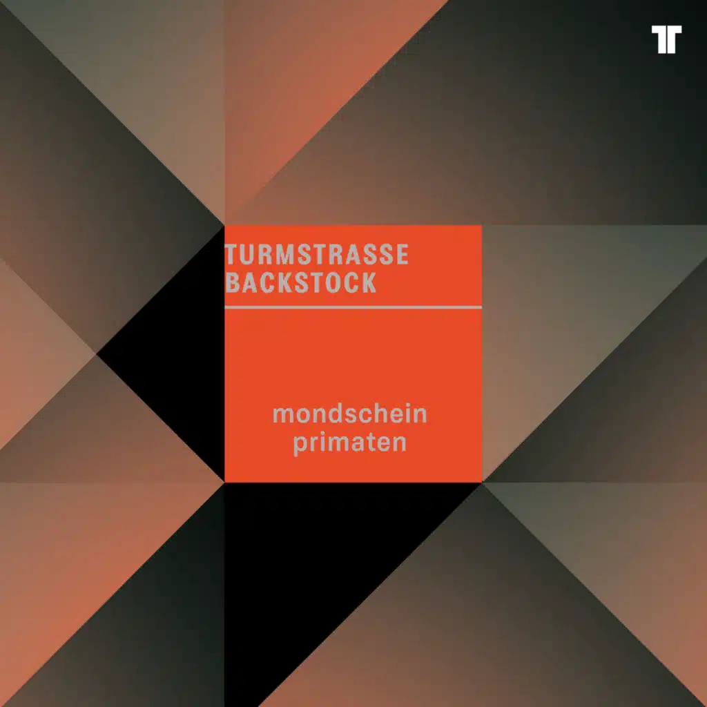 Mondschein Primaten (Chopstick & Johnjon Remix) [feat. Chopstick, johnjon]