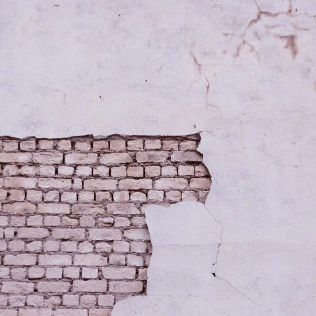 Ariza and Nicole Zignago