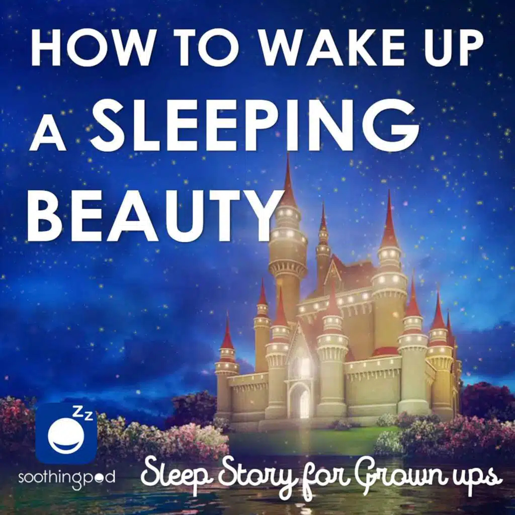 How to wake up a Sleeping Beauty | The 3rd most boring story ever told | Bedtime Sleep Stories