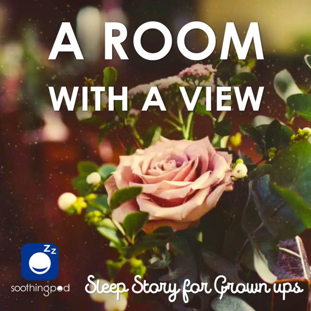 A Room with a View | Romantic Love Story | Classic Book Sleep Stories