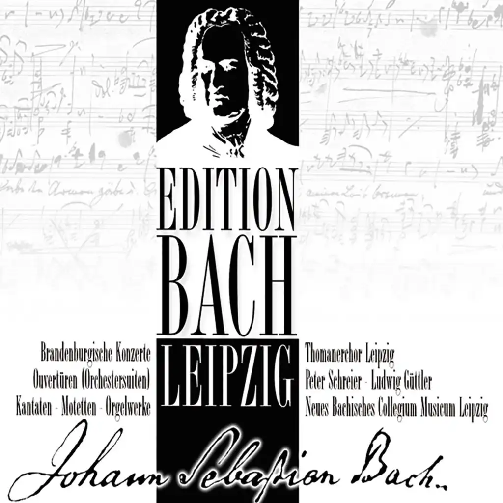 Brandenburg Concerto No. 2 in F Major, BWV 1047: I. -