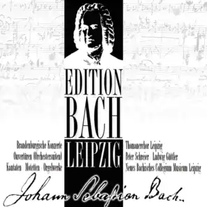 Brandenburg Concerto No. 1 in F Major, BWV 1046: I. -