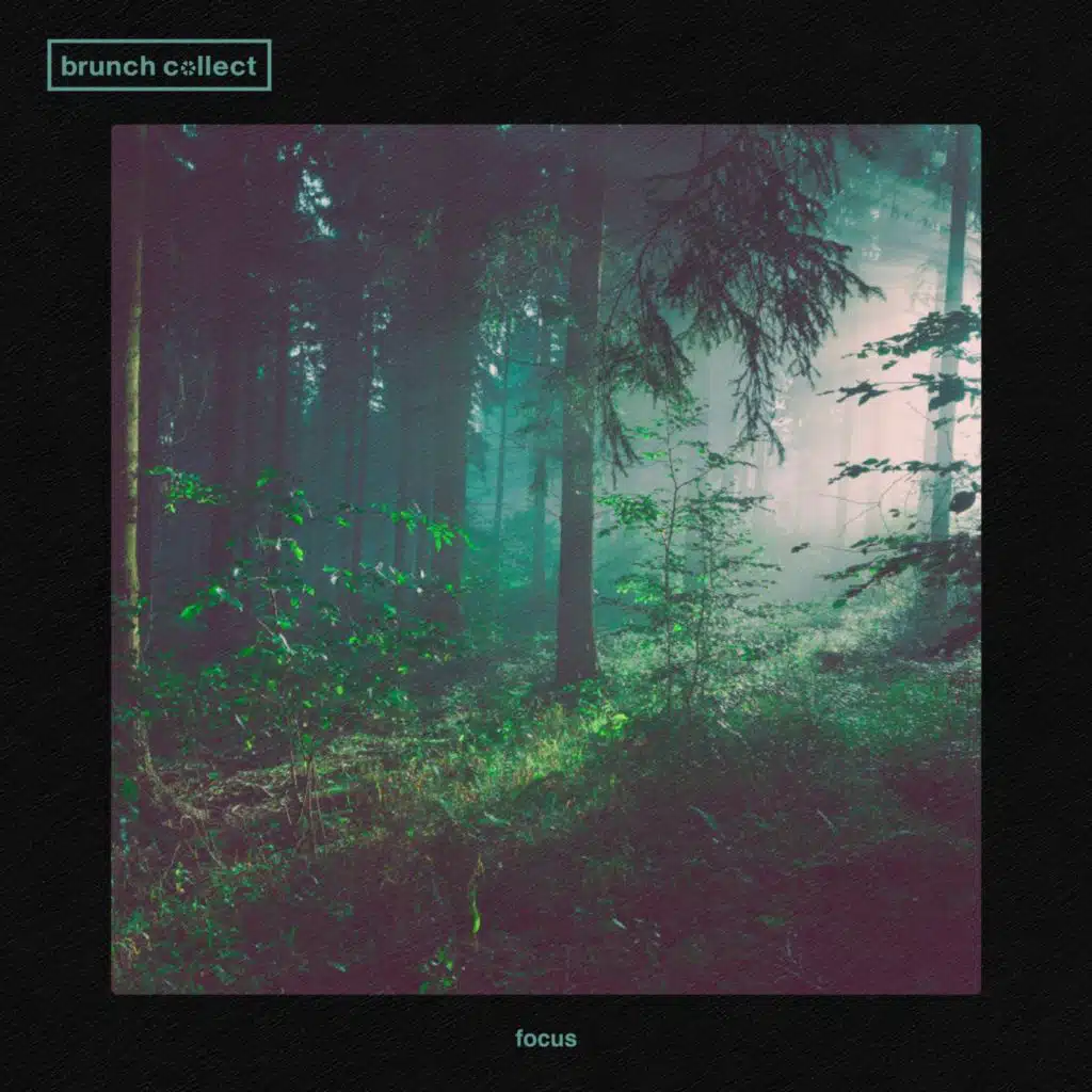 Brunch Collect
