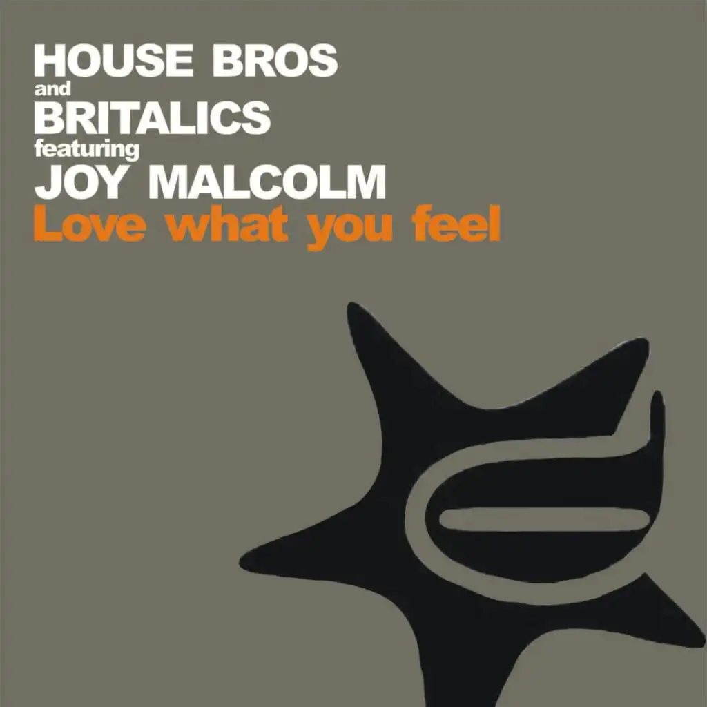 Love What You Feel (House Bros Back To Disco) [feat. Joy Malcolm]