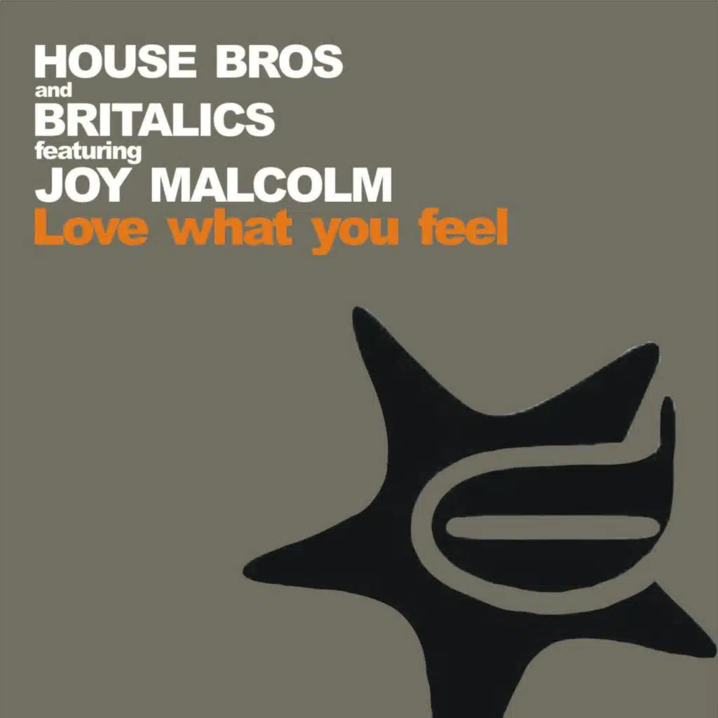 Love What You Feel (In Da Klubb Electro) [feat. Joy Malcolm]