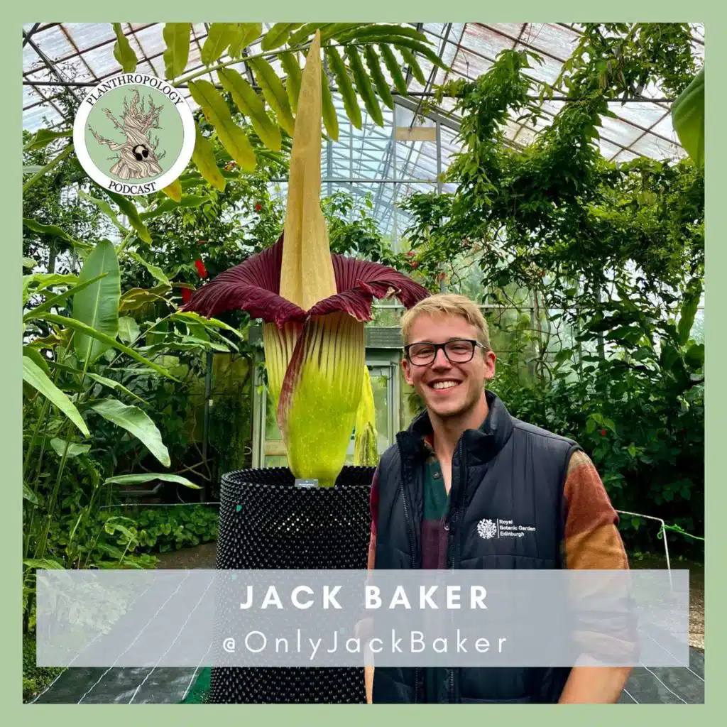 88. Plants, Pangolins, and PhDs w/ Jack Baker