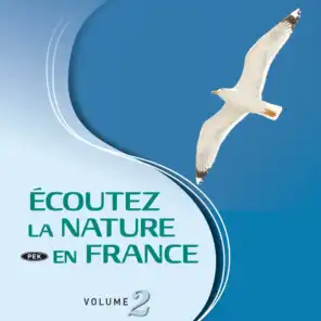 Ecoutez la nature en France, vol. 2 (Nature immersion)