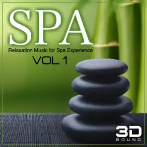 SPA 3D Relaxation Music Experience, Vol. 1 (3D Sound Experience, Relaxing Nature Sounds Relaxation and Tibetan Chakra Meditation Music for Relaxation Meditation, Deep Sleep, Studying, Healing Massage, Spa, Sound Therapy, Chakra Balancing, Baby Sleep, Sere