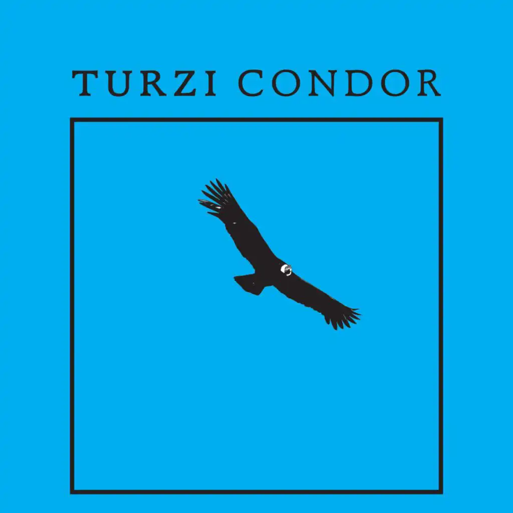 Condor (Matias Aguayo Version)