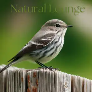 Animal and Bird Songs