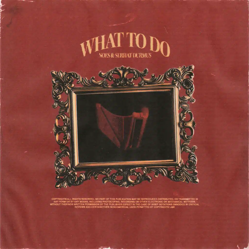 Serhat Durmus and NOES