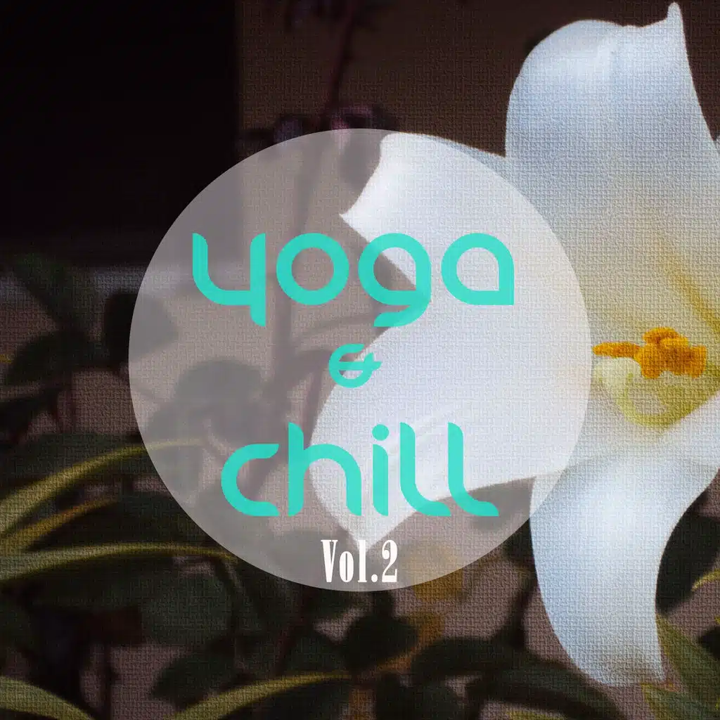 Yoga & Chill, Vol. 2 (Finest Relaxing & Meditation Music)