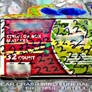 Car Crash Bird Funeral