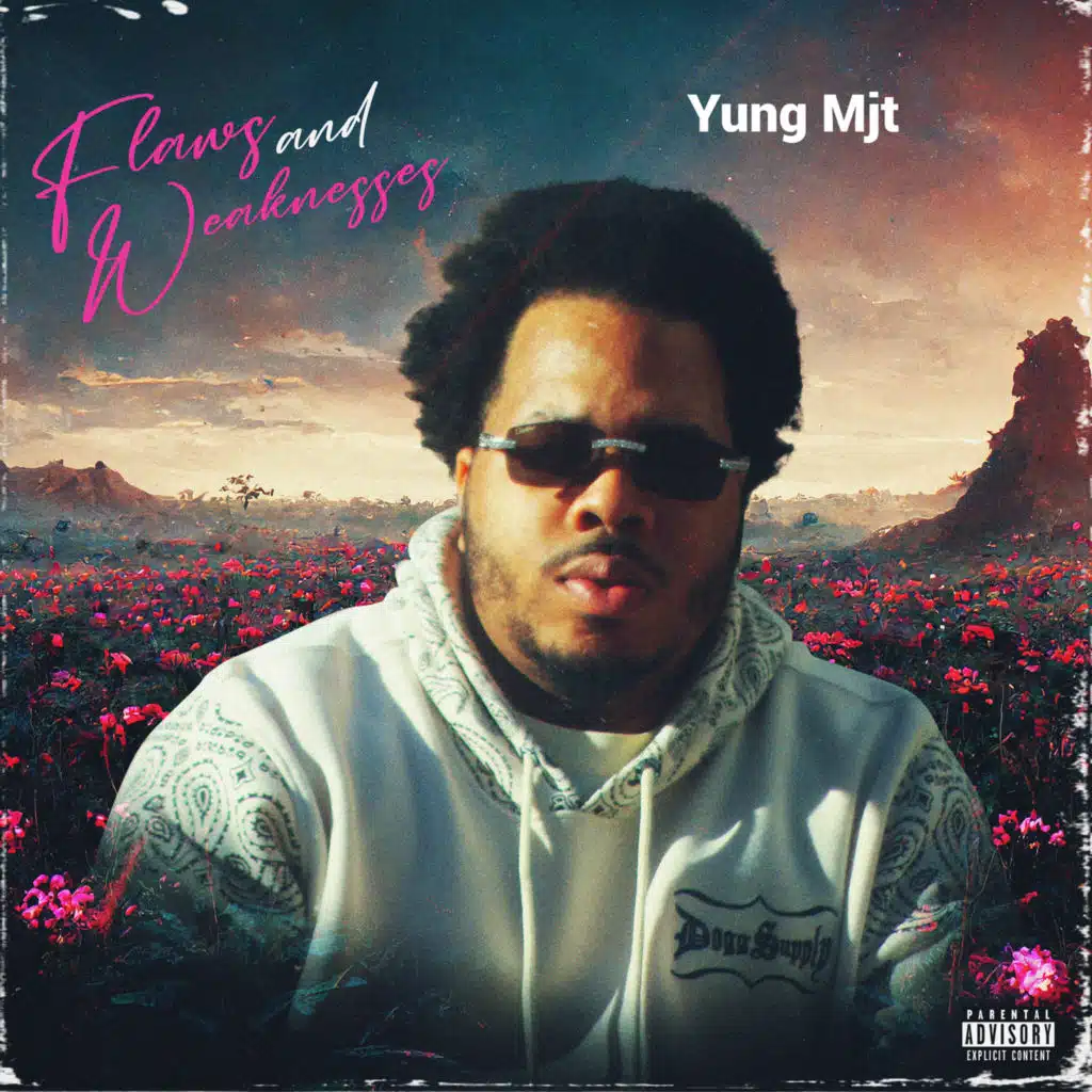 Flaws and Weaknesses