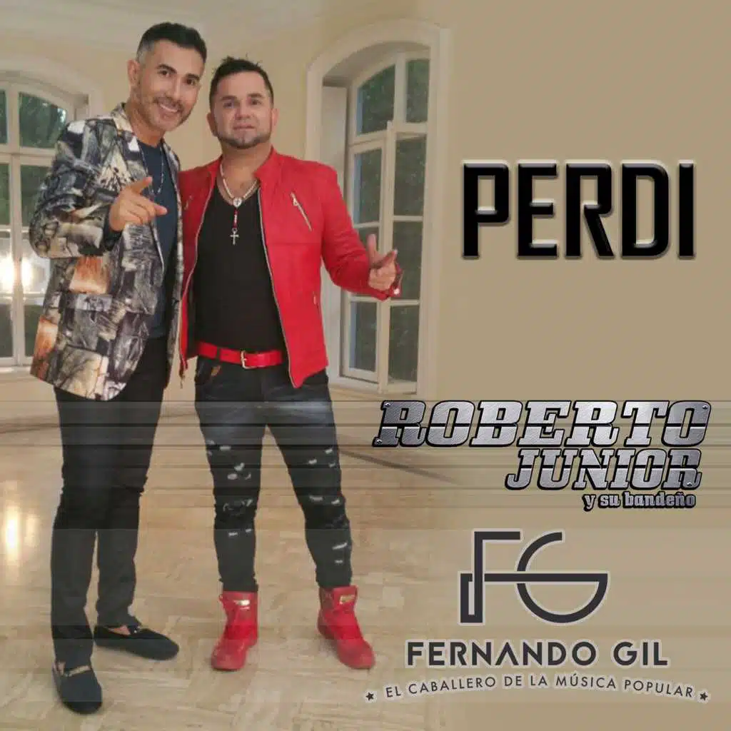 Perdi (feat. Fernando Gil)