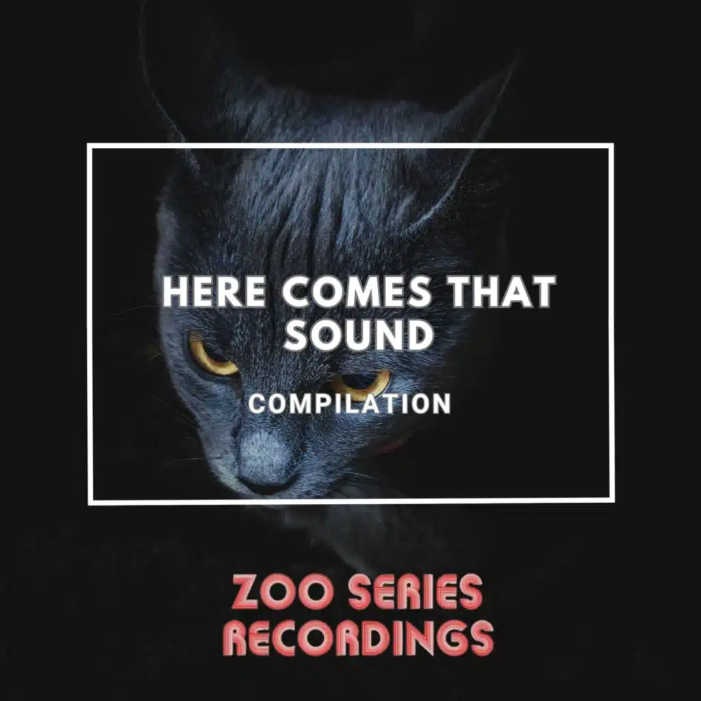 Here Comes That Sound