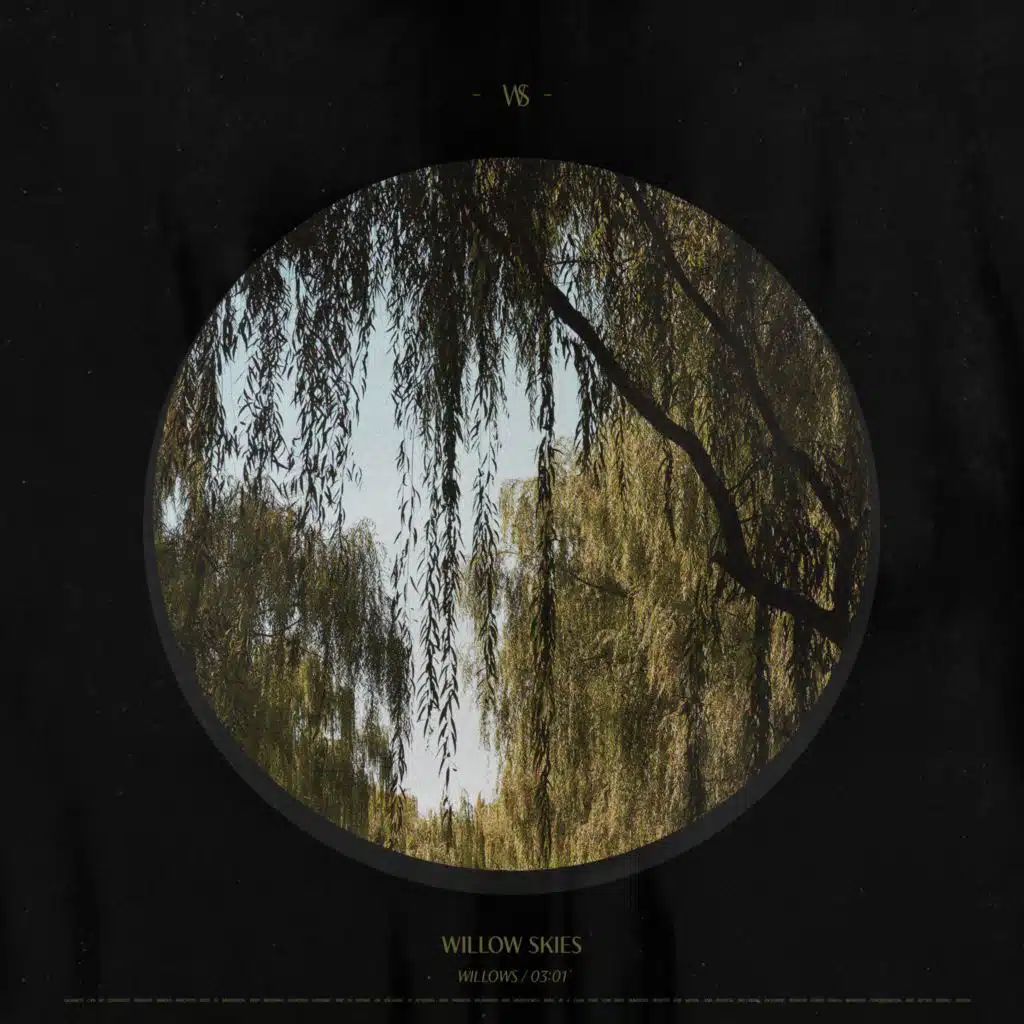 Willows