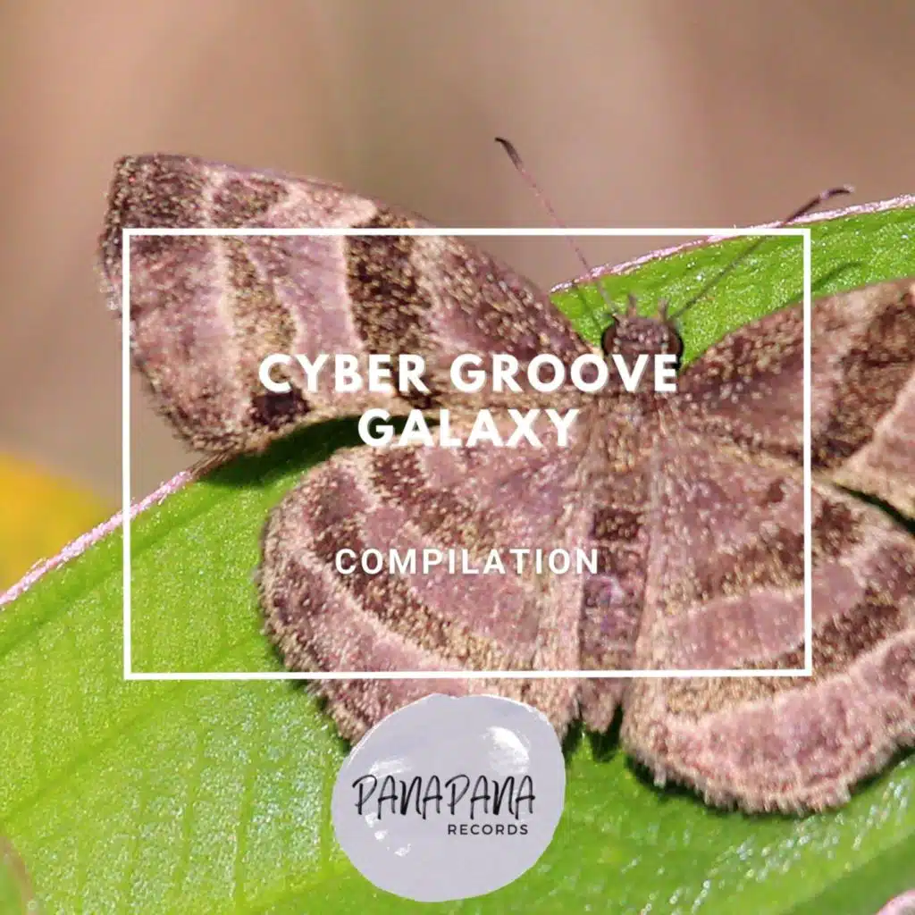 Cyber Groove Galaxy