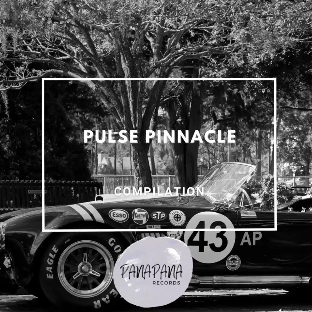 Pulse Pinnacle