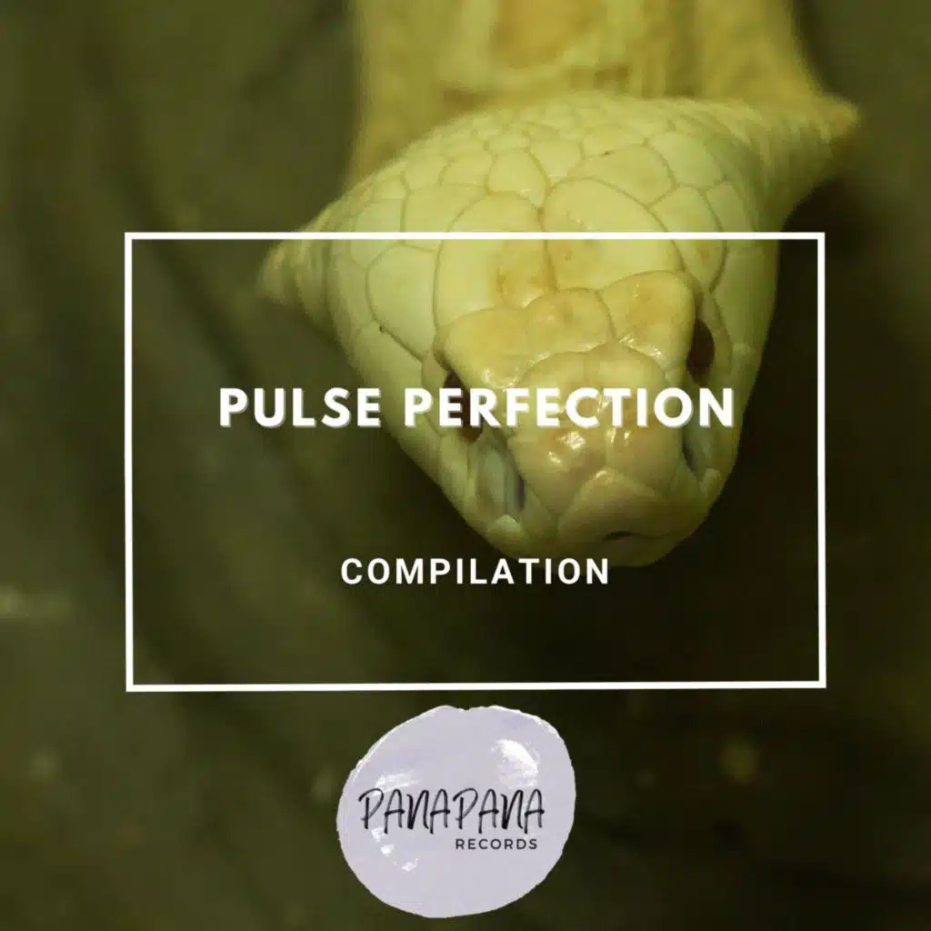 Pulse Perfection