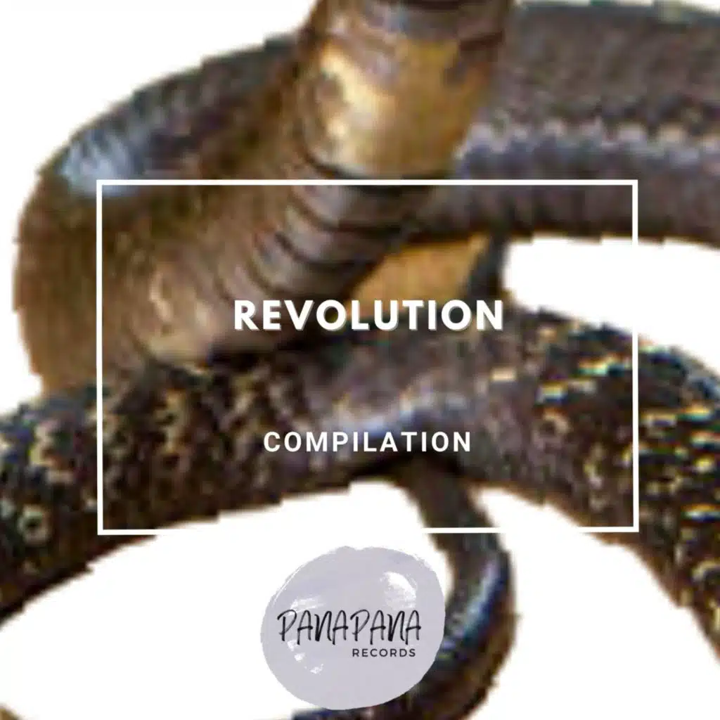 Revolution