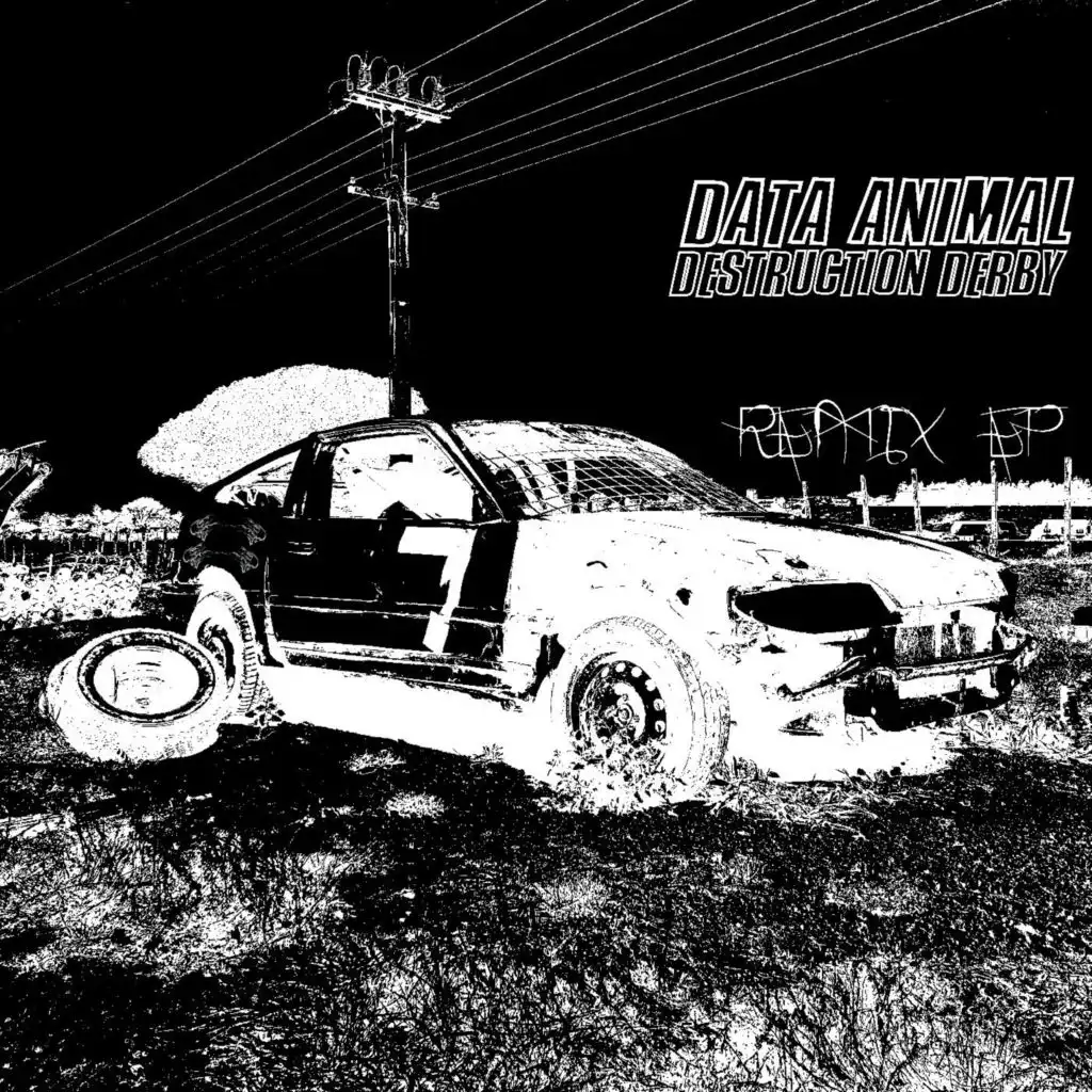 Broken (Data Animal Destruction Derby Remix)