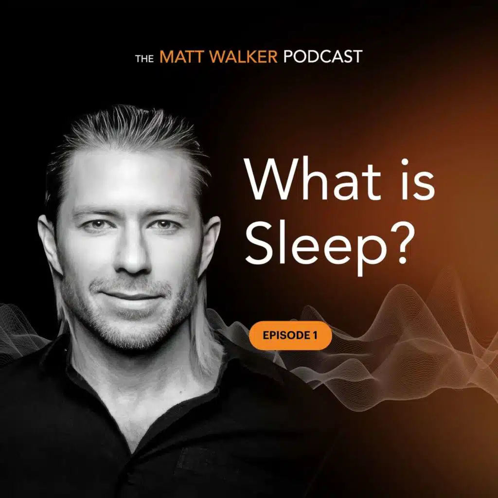 #01: What is Sleep?