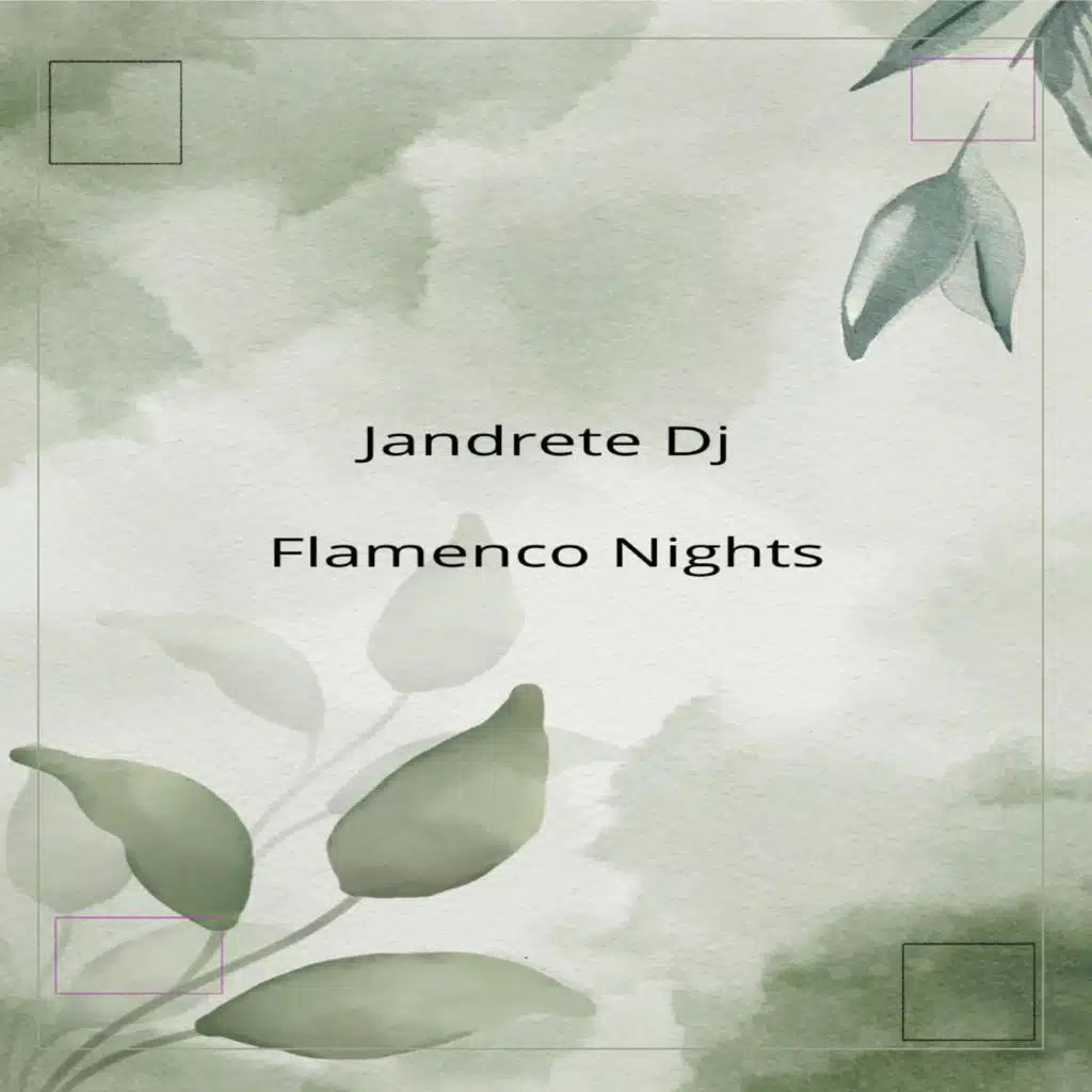 Jandrete DJ