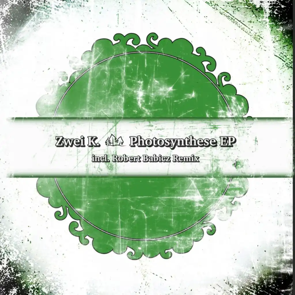 Photosynthese EP