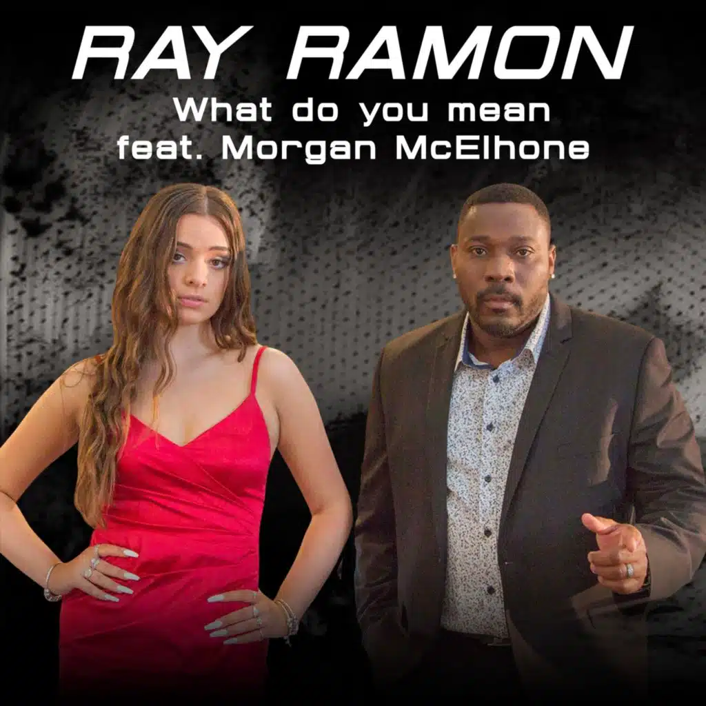 What do you mean (DJ Flaskman Flaskis Feeling Housey Remix) [feat. Morgan McElhone]