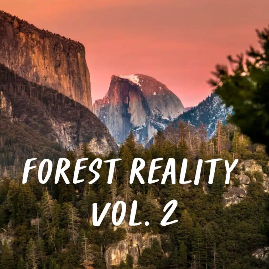 Forest Reality Vol. 2