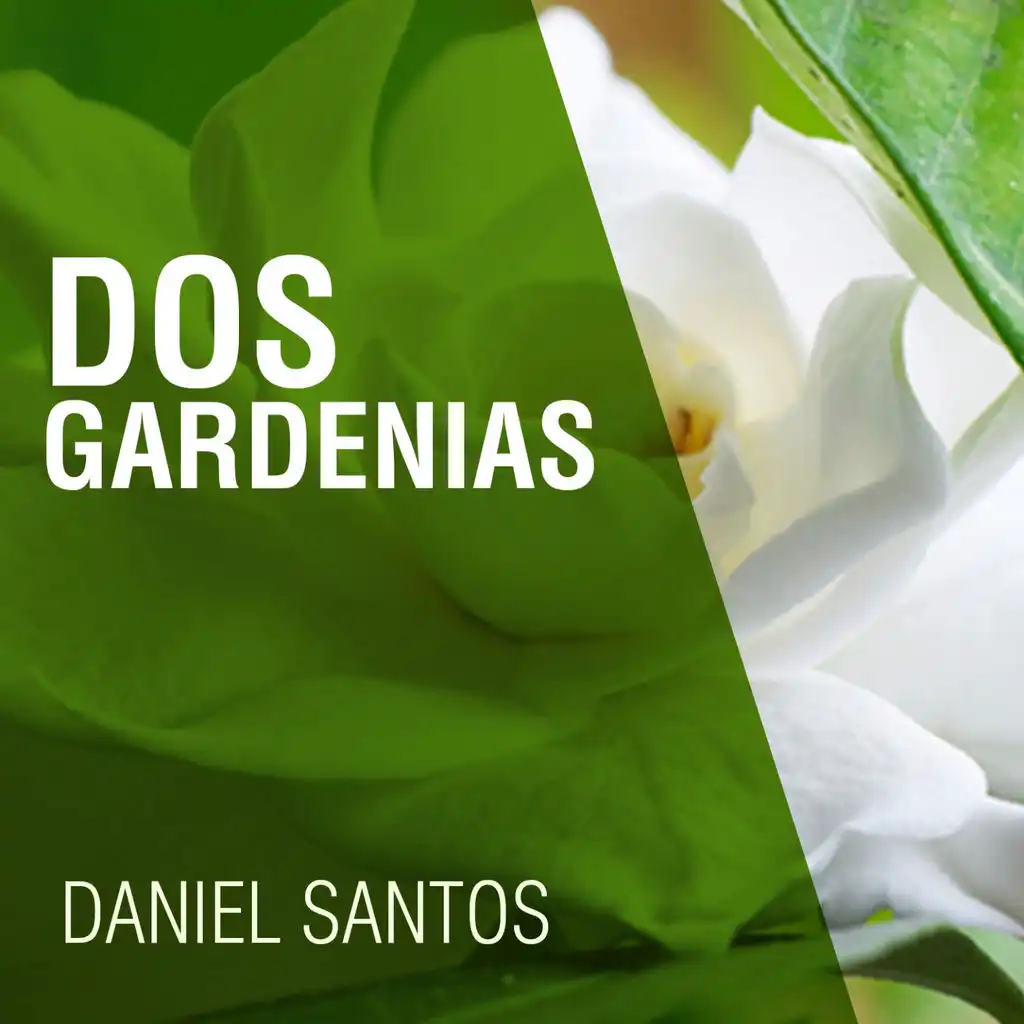 Dos Gardenias