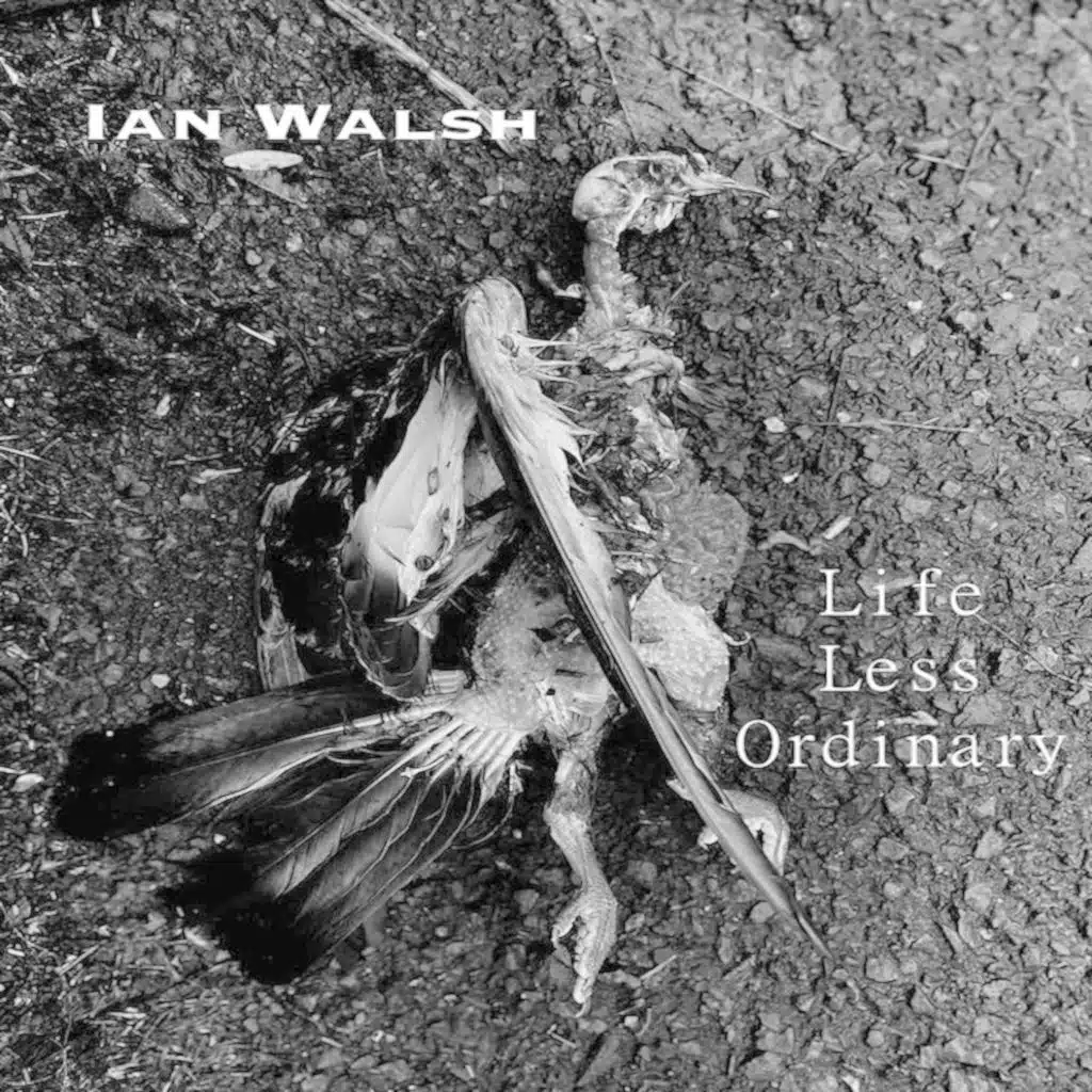 Life Less Ordinary
