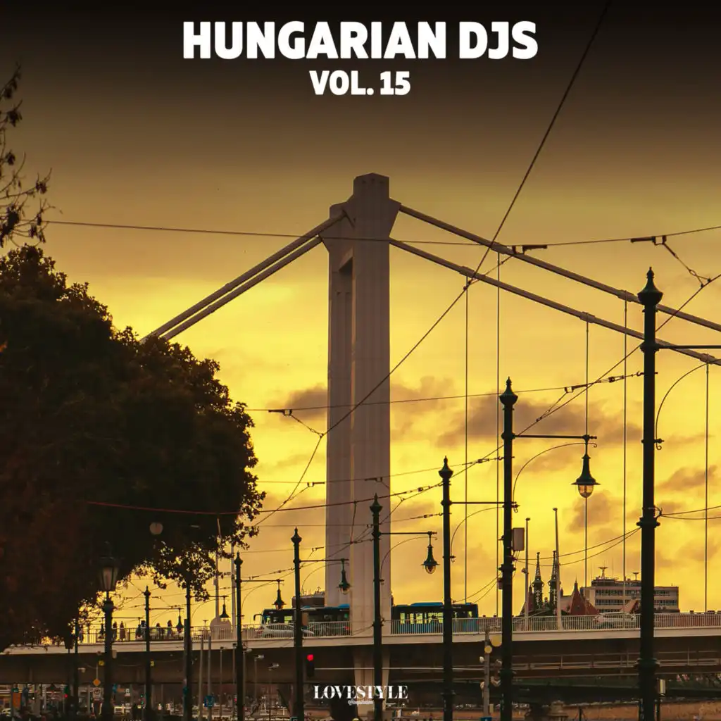 Hungarian DJs, Vol. 15