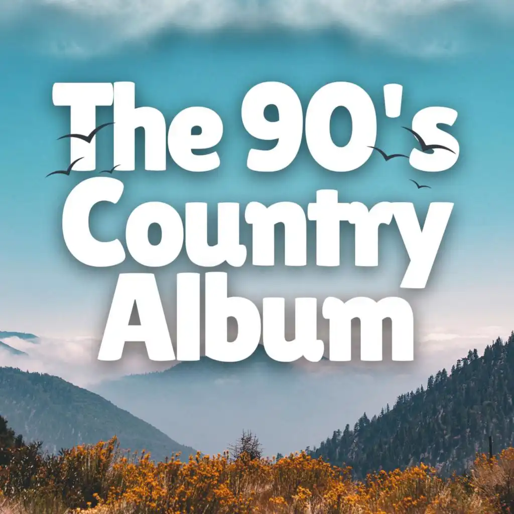 The 90's Country Album