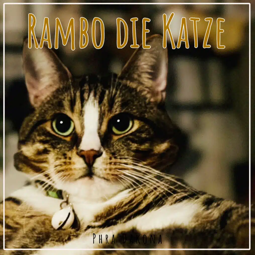 Rambo Die Katze