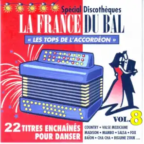La France du bal, vol. 8 : Les tops de l'accordéon